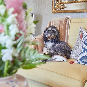 Host & - The Beach House , Marske-by-the-Sea United Kingdom